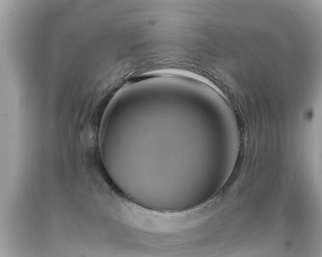 X0000092000039200709131523