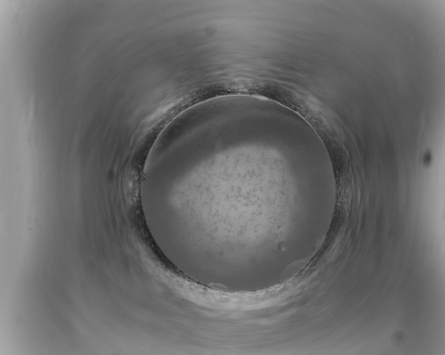 X0000092000043200709131523