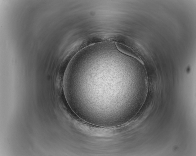 X0000092000044200709131523