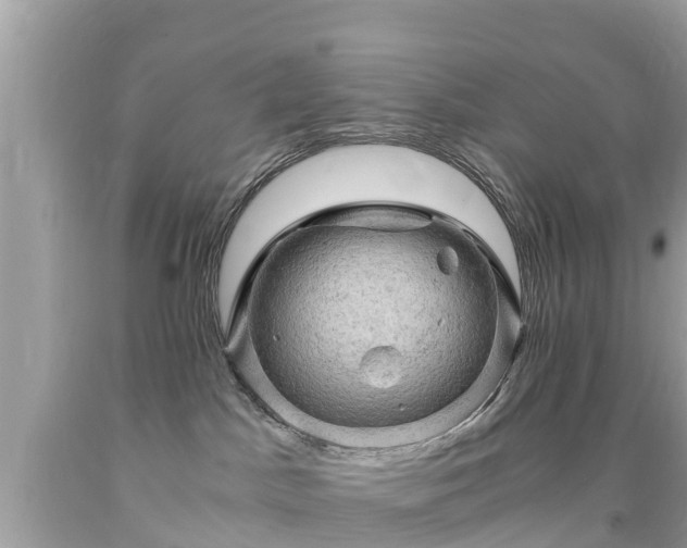 X0000092000045200709131523