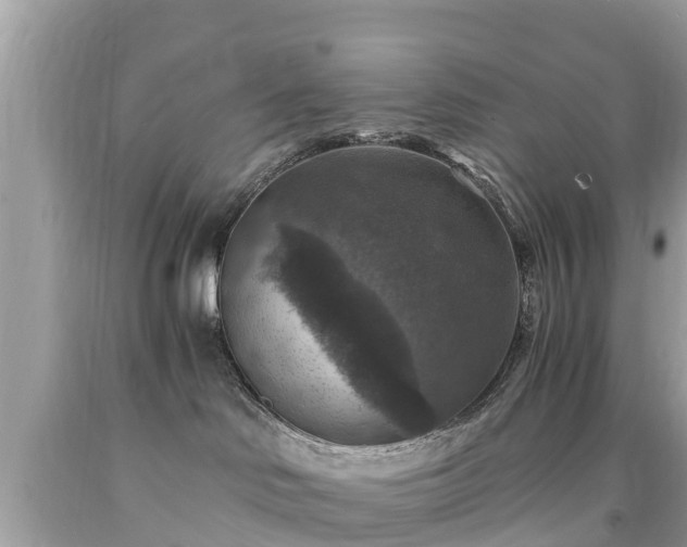 X0000092000046200709131523