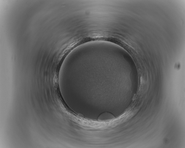 X0000092000048200709131523