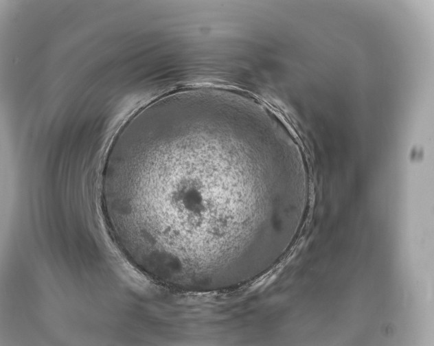 X0000092000049200709131522