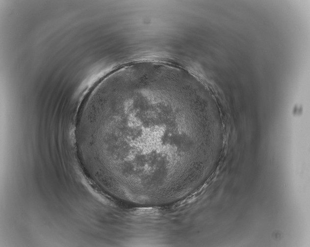 X0000092000050200709131522