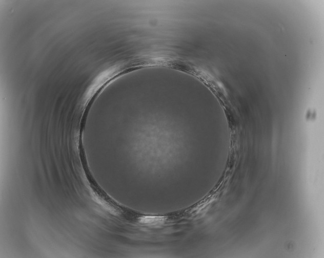 X0000092000051200709131522