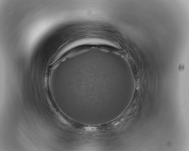 X0000092000052200709131522