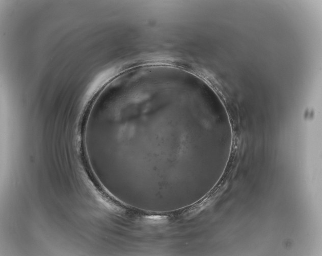 X0000092000053200709131522