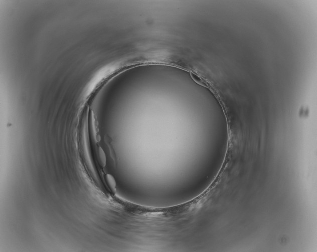 X0000092000054200709131522