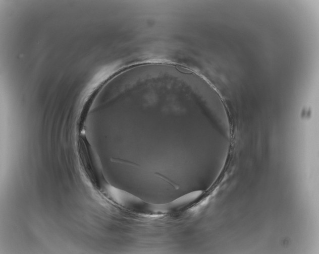 X0000092000055200709131522