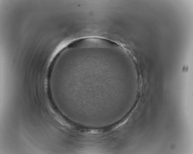 X0000092000056200709131522