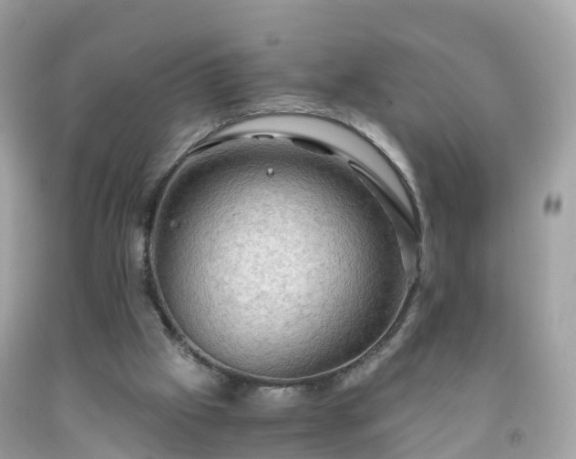 X0000092000057200709131522