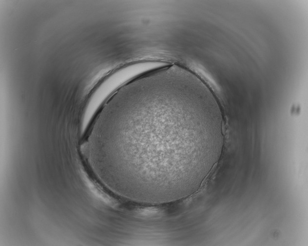 X0000092000058200709131522