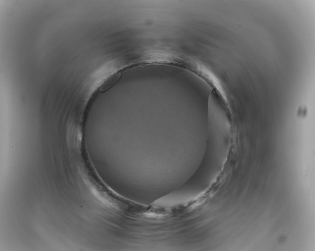 X0000092000059200709131522