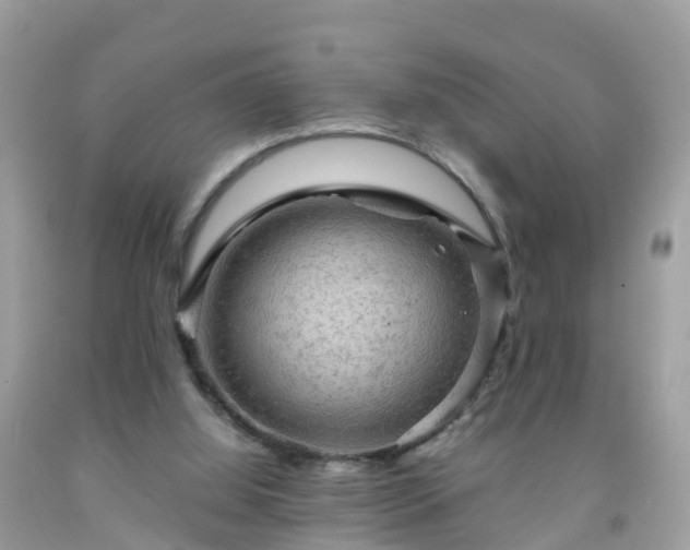 X0000092000060200709131522