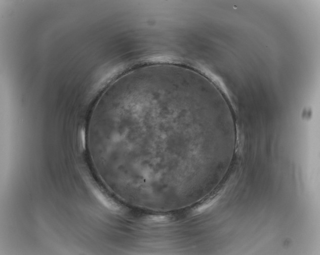 X0000092000061200709131522