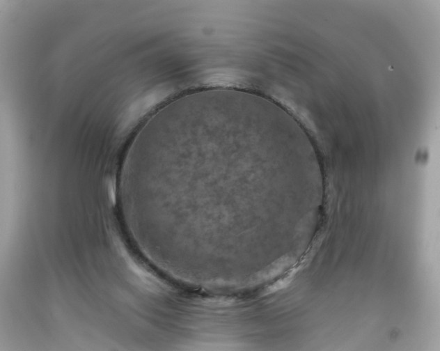 X0000092000062200709131522