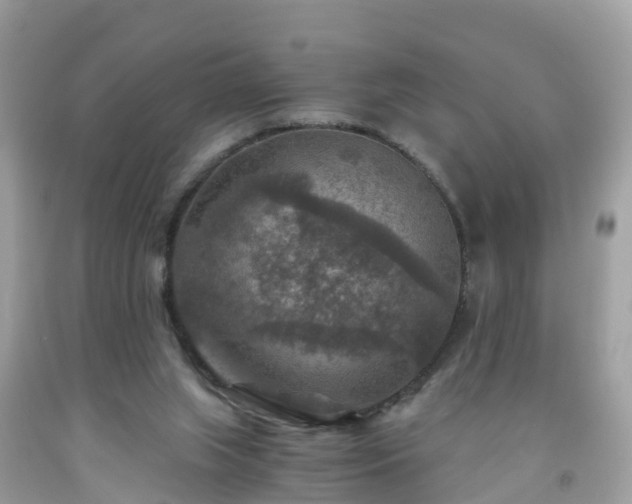 X0000092000063200709131522