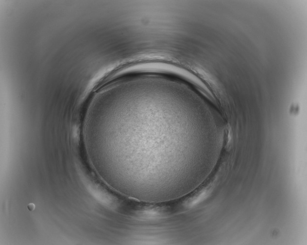 X0000092000064200709131522