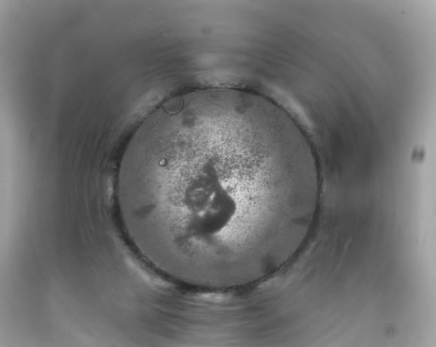 X0000092000065200709131522