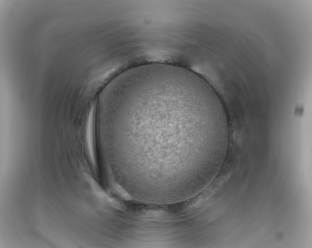 X0000092000066200709131522