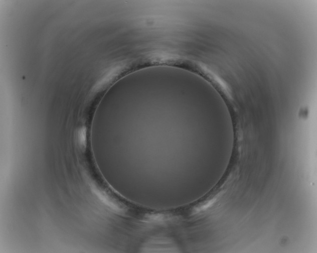 X0000092000067200709131522