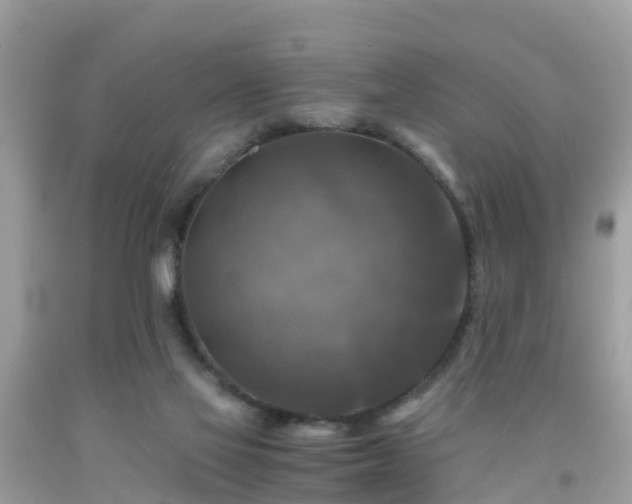 X0000092000069200709131522