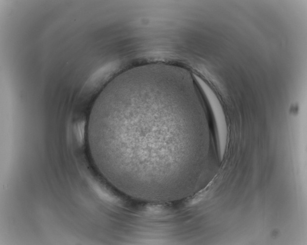 X0000092000070200709131522