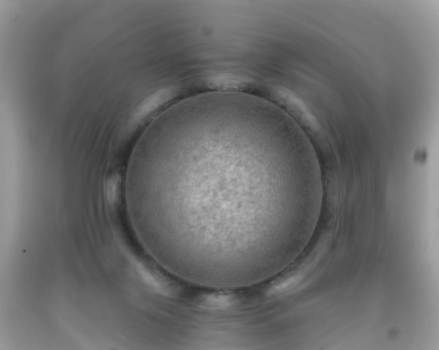 X0000092000071200709131522