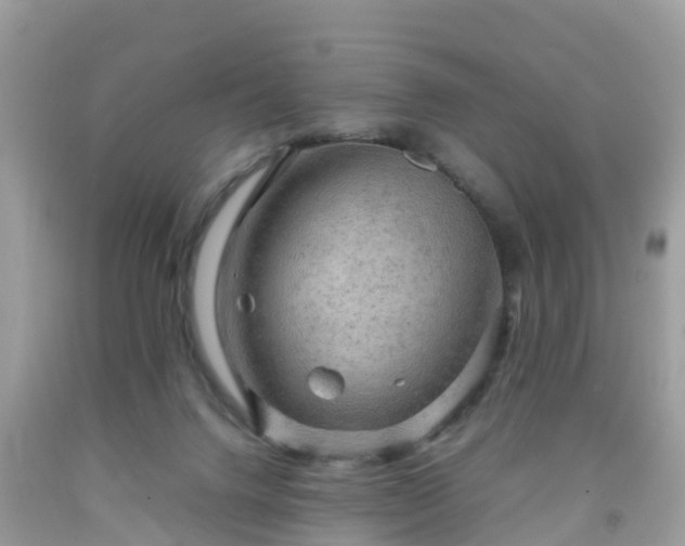 X0000092000072200709131522