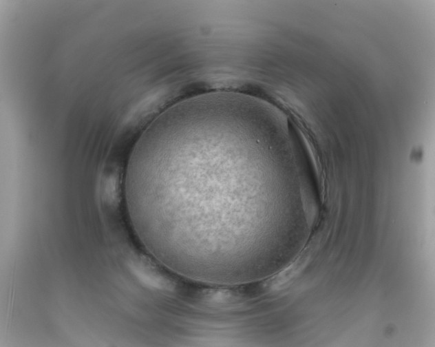 X0000092000074200709131522