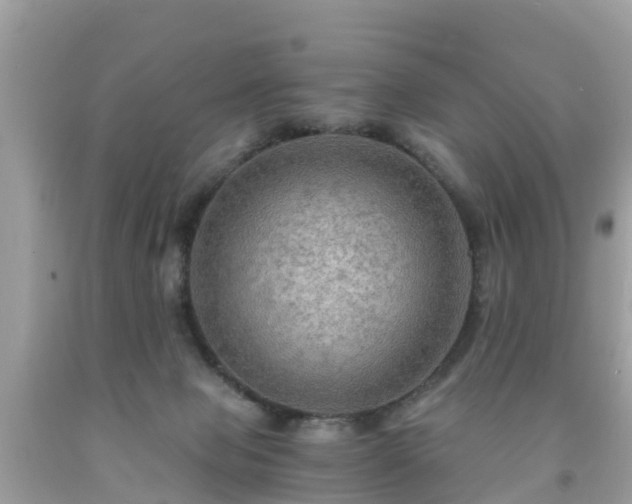 X0000092000077200709131522