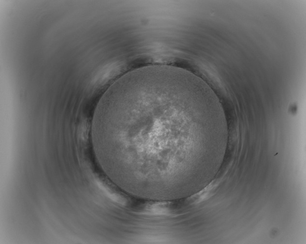 X0000092000078200709131522