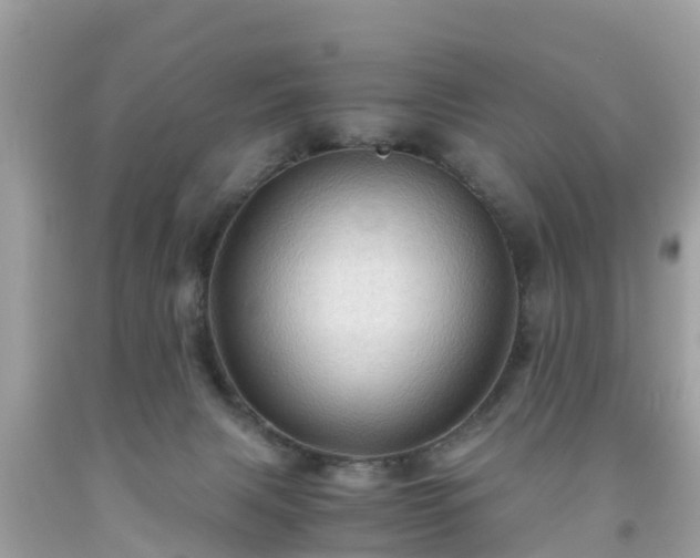 X0000092000079200709131522