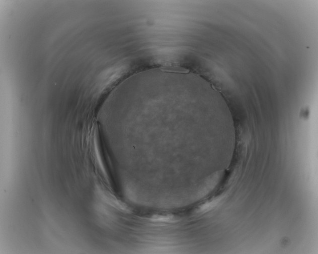 X0000092000080200709131522