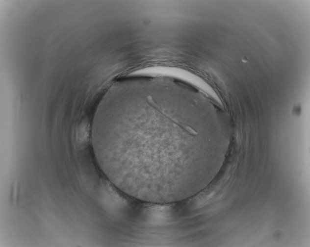 X0000092000081200709131522