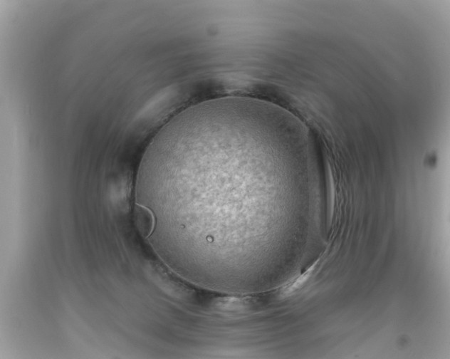 X0000092000082200709131522