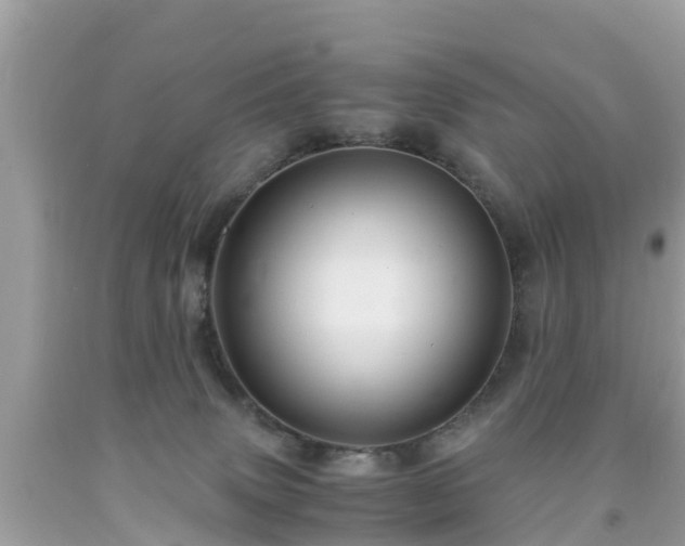 X0000092000083200709131522