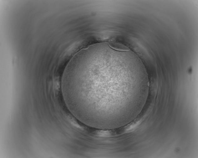 X0000092000085200709131523