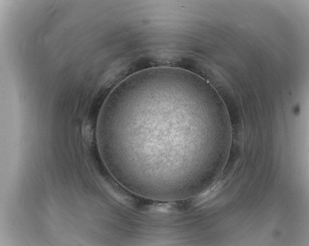 X0000092000086200709131523