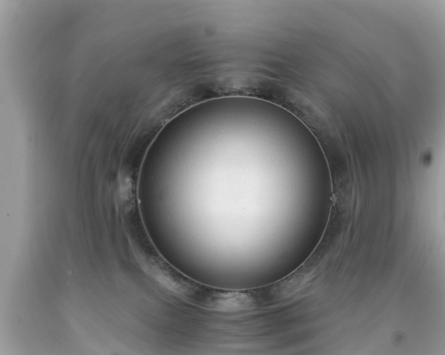 X0000092000087200709131523