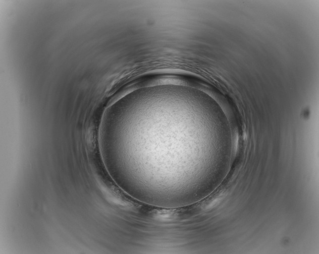 X0000092000088200709131523