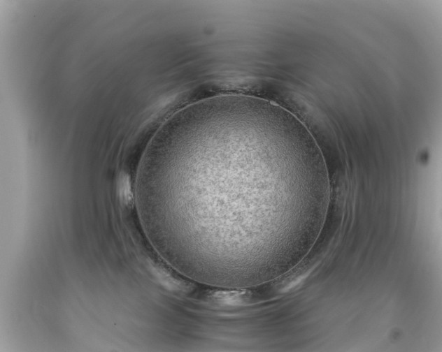 X0000092000089200709131523