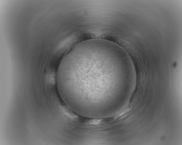 X0000092000090200709131523