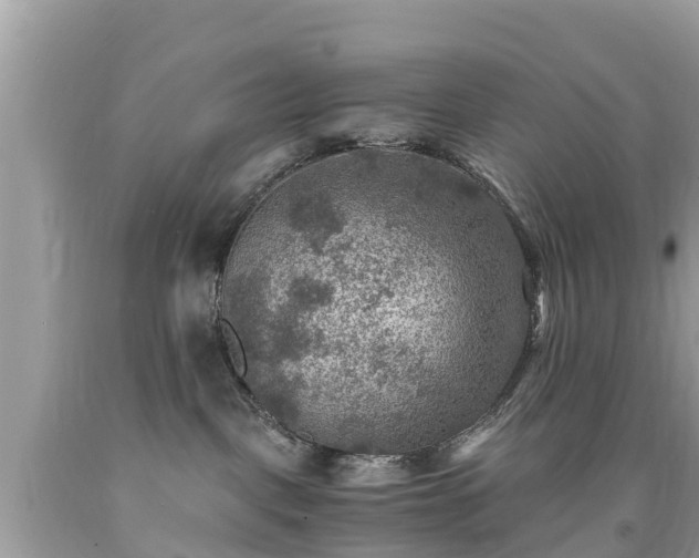 X0000092000093200709131523