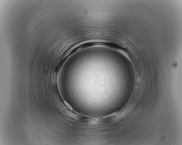 X0000092000096200709131523