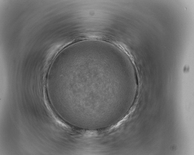 X0000092000097200709131522