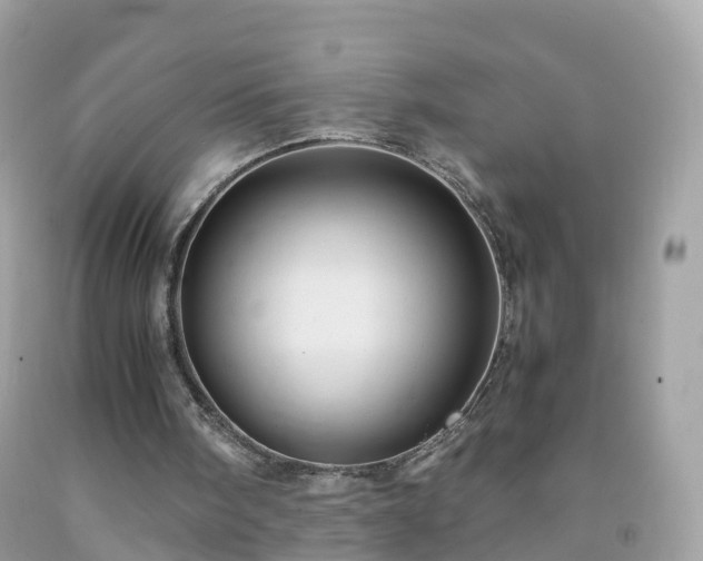 X0000092000098200709131522