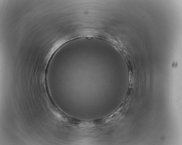 X0000092000099200709131522