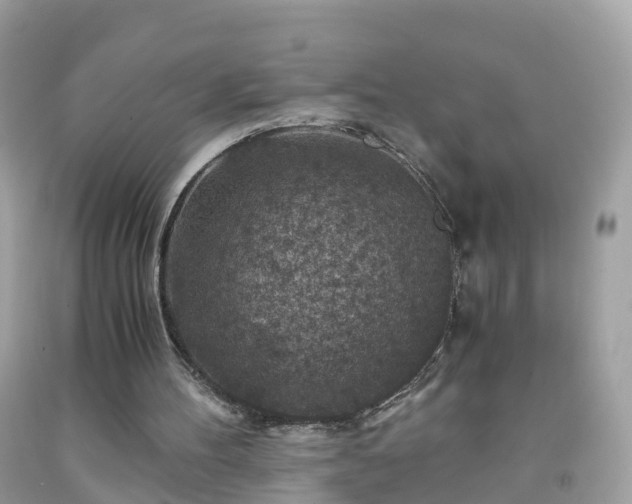 X0000092000100200709131522