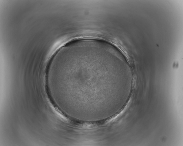 X0000092000101200709131522